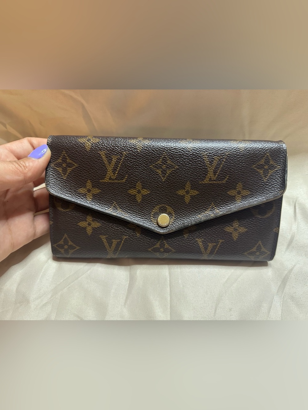Louis Vuitton Monogram Envelope Wallet